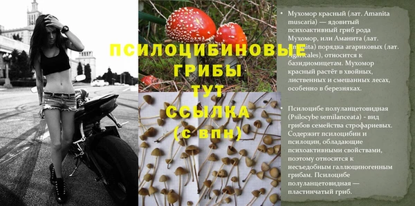 скорость Лабытнанги