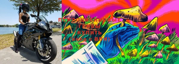 молекула духа Лагань