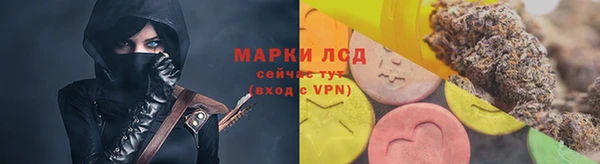 ПСИЛОЦИБИНОВЫЕ ГРИБЫ Ладушкин
