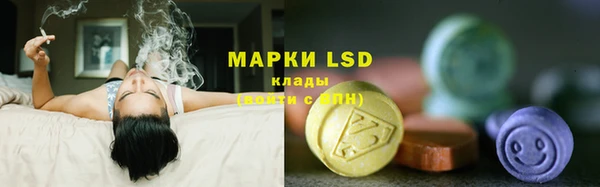 молекула духа Лагань
