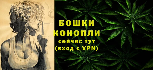 молекула духа Лагань