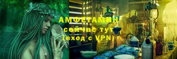 ПСИЛОЦИБИНОВЫЕ ГРИБЫ Ладушкин