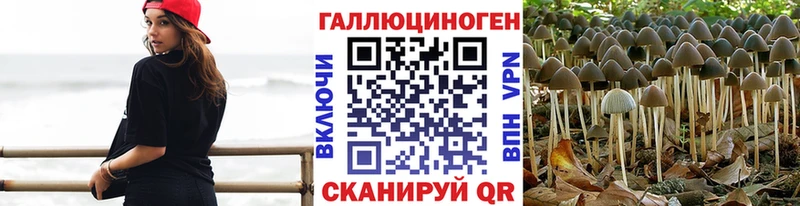 Псилоцибиновые грибы мицелий  как найти наркотики  Новороссийск 